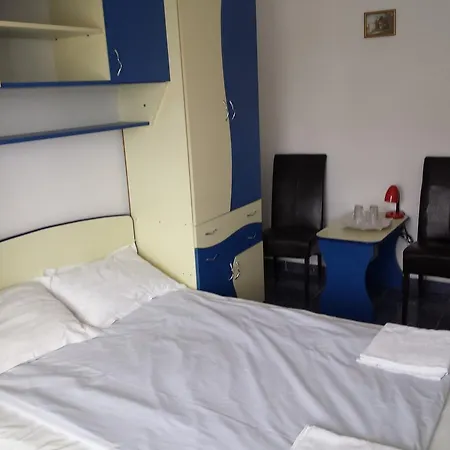 Vila Luceafarul Guest house *